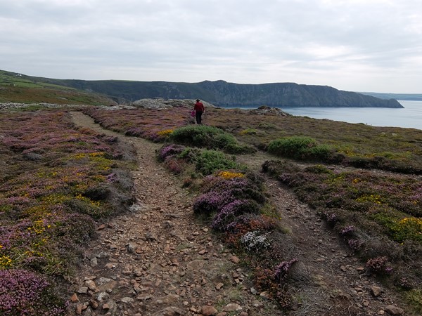 randonnée en liberté circuit littoral pembrokeshire pays de Galles